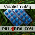 Vidalista 5Mg viagra2